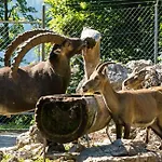 2 Zimmerwohnung Spanischgaessli