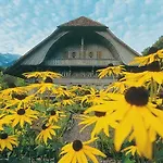 Appartement 2 Zimmerwohnung Spanischgaessli *