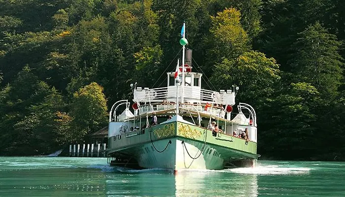 2 Zimmerwohnung Spanischgaessli Brienz (Bern)
